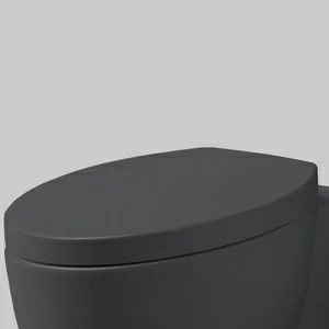 CPVCUTF-CM Крышка сиденье для унитаза Ceramica Cielo