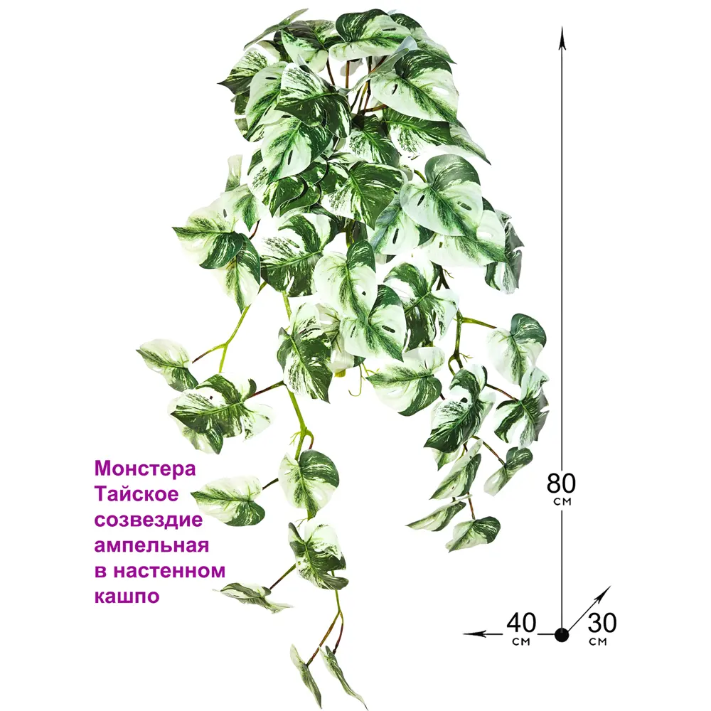 Искусственное растение ФитоПарк Монстера Тайское созвездие ампельная в настенном сером кашпо
