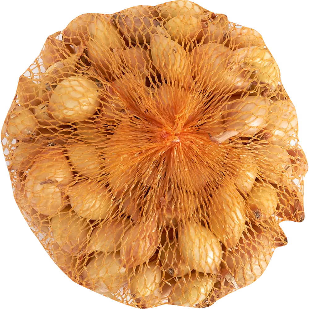 Лук-севок «Коррадо» F1 10/21, 0.9 кг ПРЕСТИЖ СЕМЕНА STLM-2060353