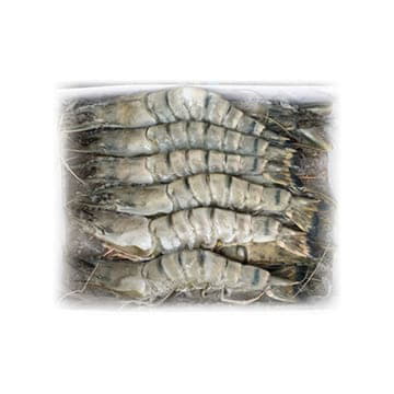 Тигровые креветки 8/12 свежемороженые ~1 кг Santreyd 24362 - Вид №1