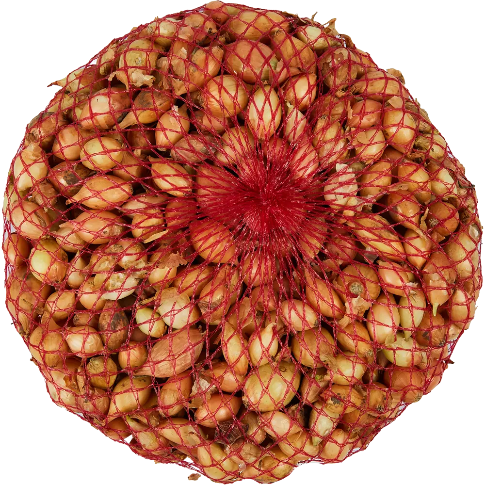 Лук-севок Сеттон 1 кг ПОИСК STLM-2072088 - Вид №1