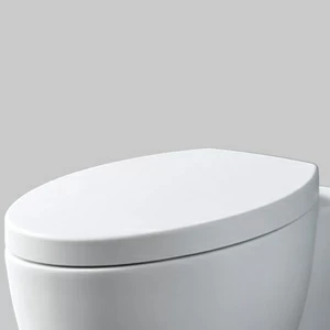 CPVCUTF-TL Крышка сиденье для унитаза Ceramica Cielo