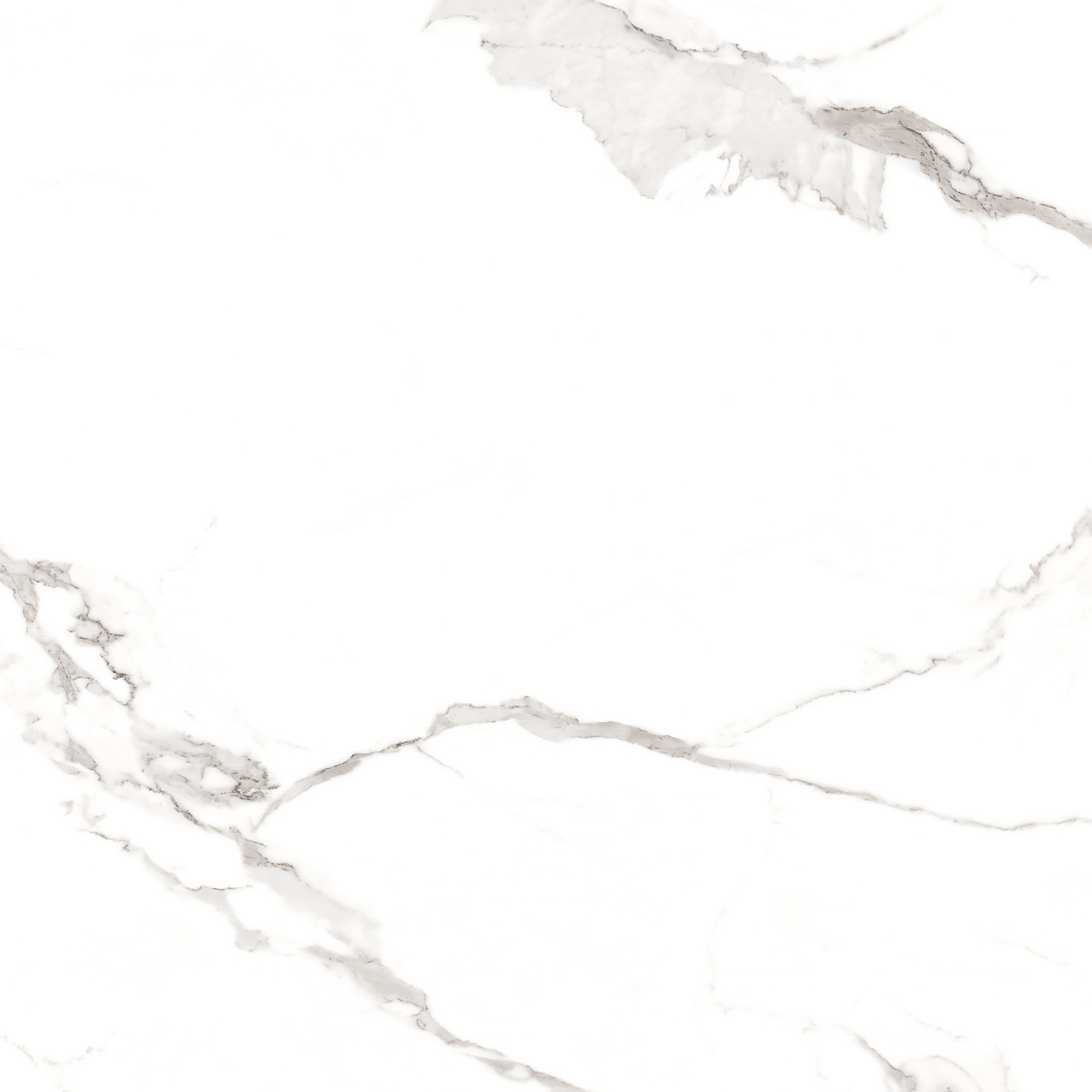 Керамогранит STATUARIO MIRES 60х60 Arcadia Ceramica FP1012-A STLM-1571933 89405719  - Вид №4