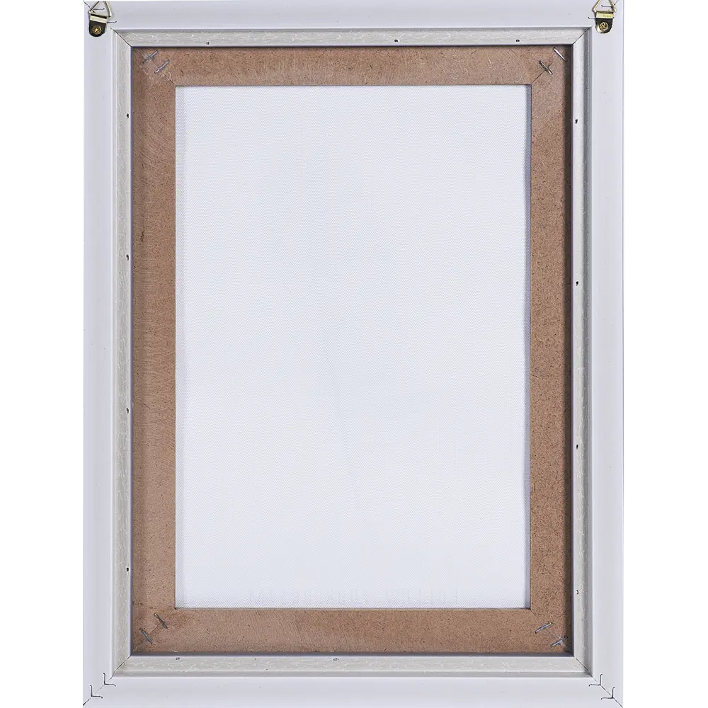 Картина на холсте в раме «Перо» 30х40 см Santreyd STLM-2148735 - Вид №2