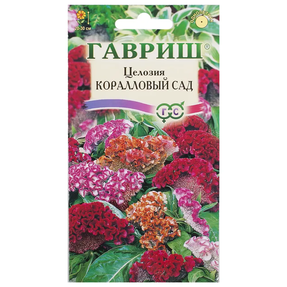 Целозия гребенчатая «Коралловый сад» 17265275 STLM-2078598 ГАВРИШ 
