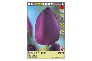 18441751 Луковица Тюльпан Негрита 10/11 фиолетовый, 5 шт. 37073 HBM