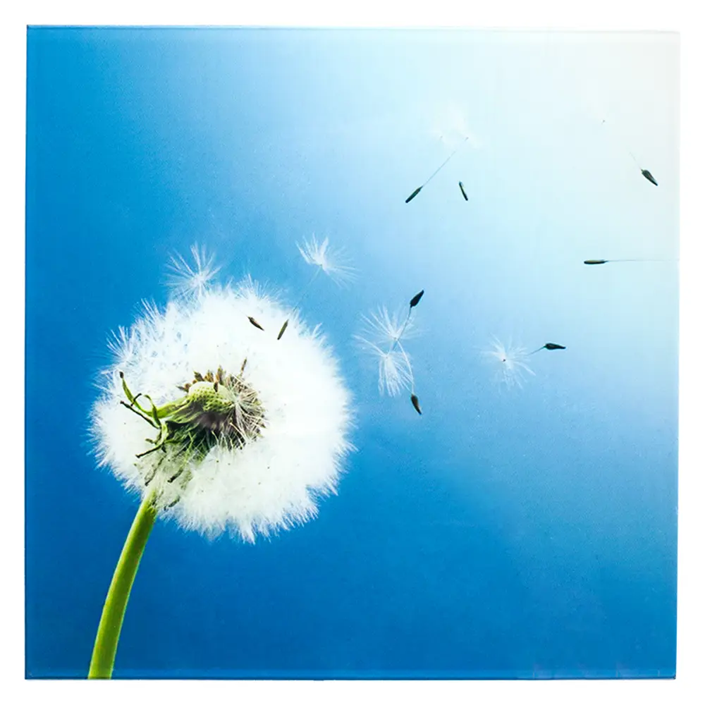 Стекло для светильника Dafne Pissenlit WL-015-B INSPIRE STLM-2031983