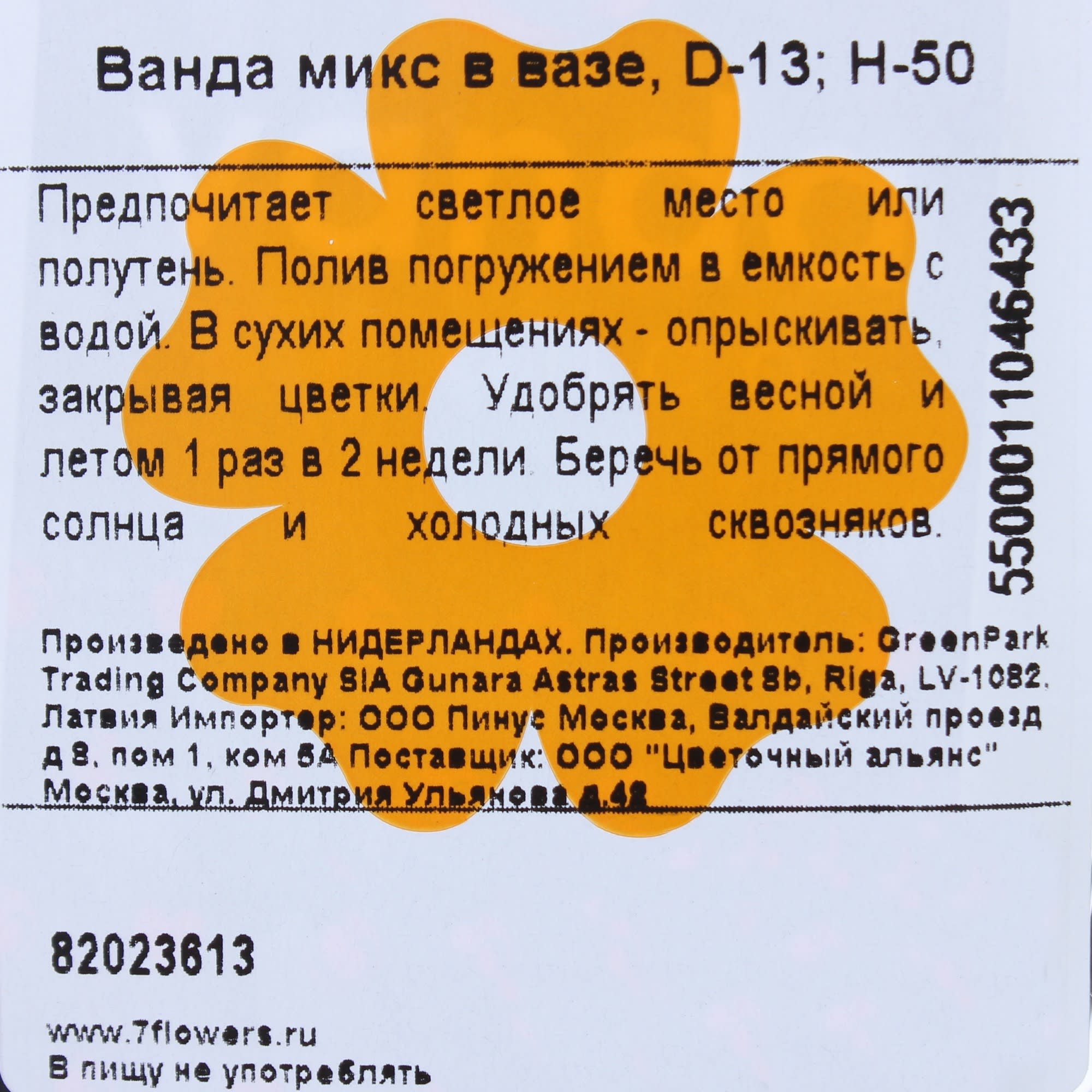 82023613 Орхидея Ванда в стекле ø13 h50 см Santreyd  - Вид №4