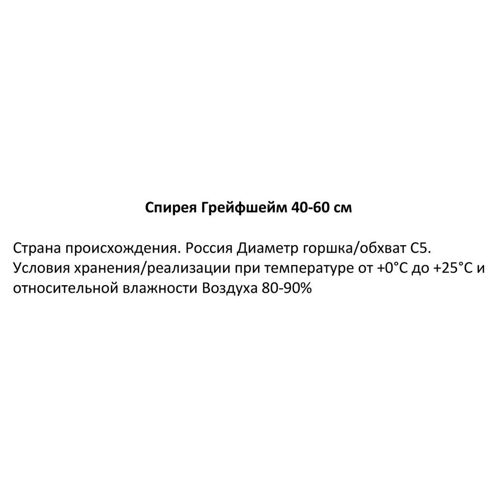 Спирея Грейфшейм ø22 h40-60 см 85320131 STLM-2192990 Santreyd 