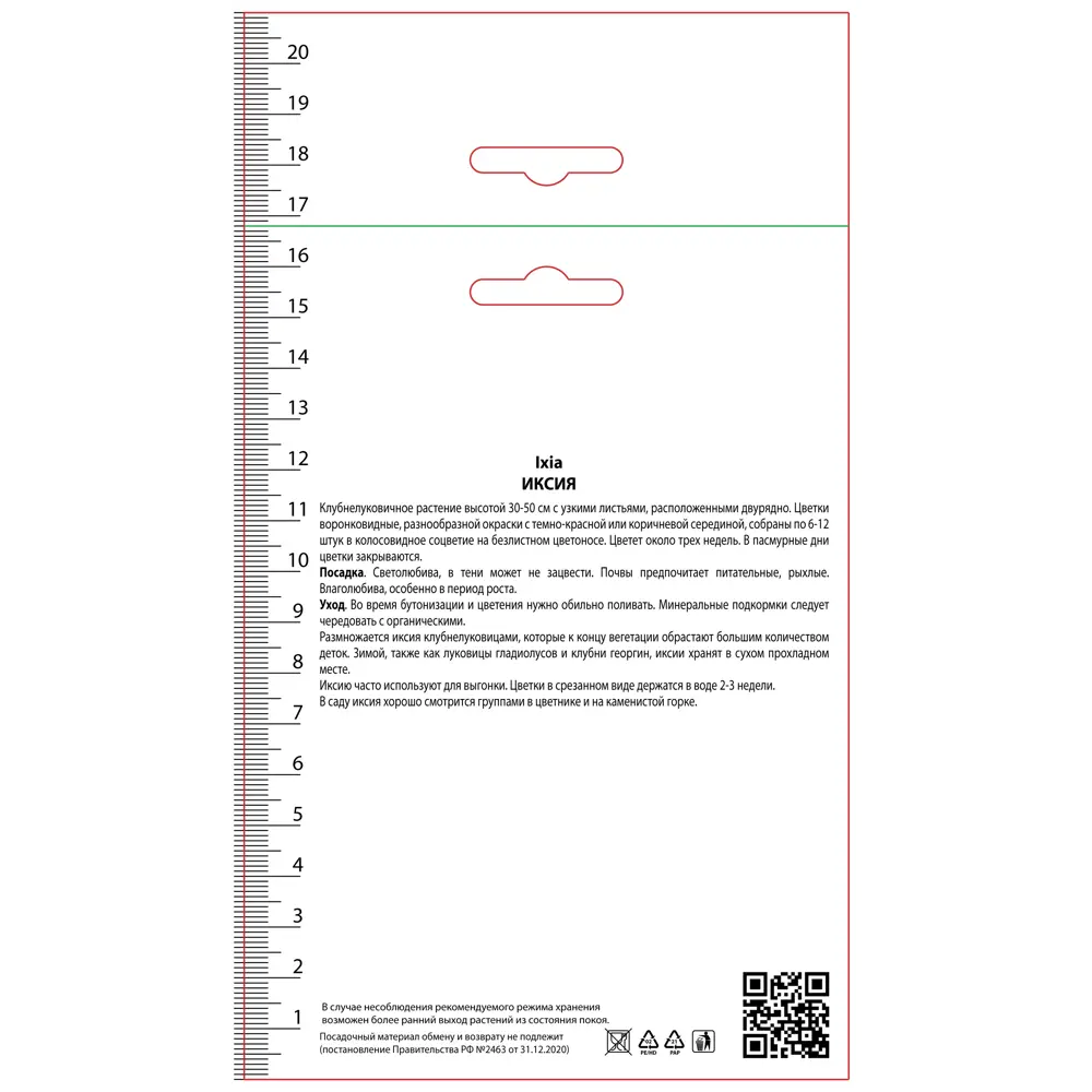 Иксия гибридная Мейбл, 10 шт ПОИСК STLM-2063667