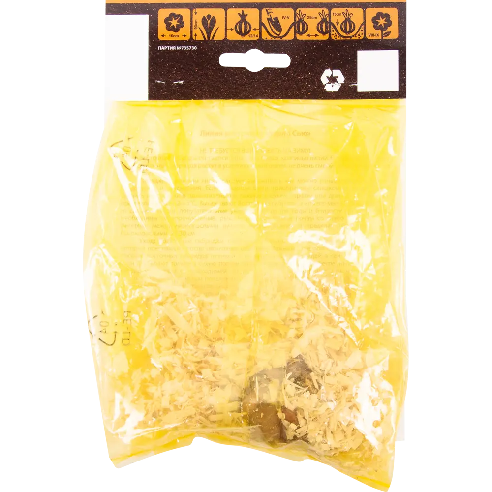 Лилия восточная «Кёрли Сью» ВСЕ В САД STLM-2135223 - Вид №1