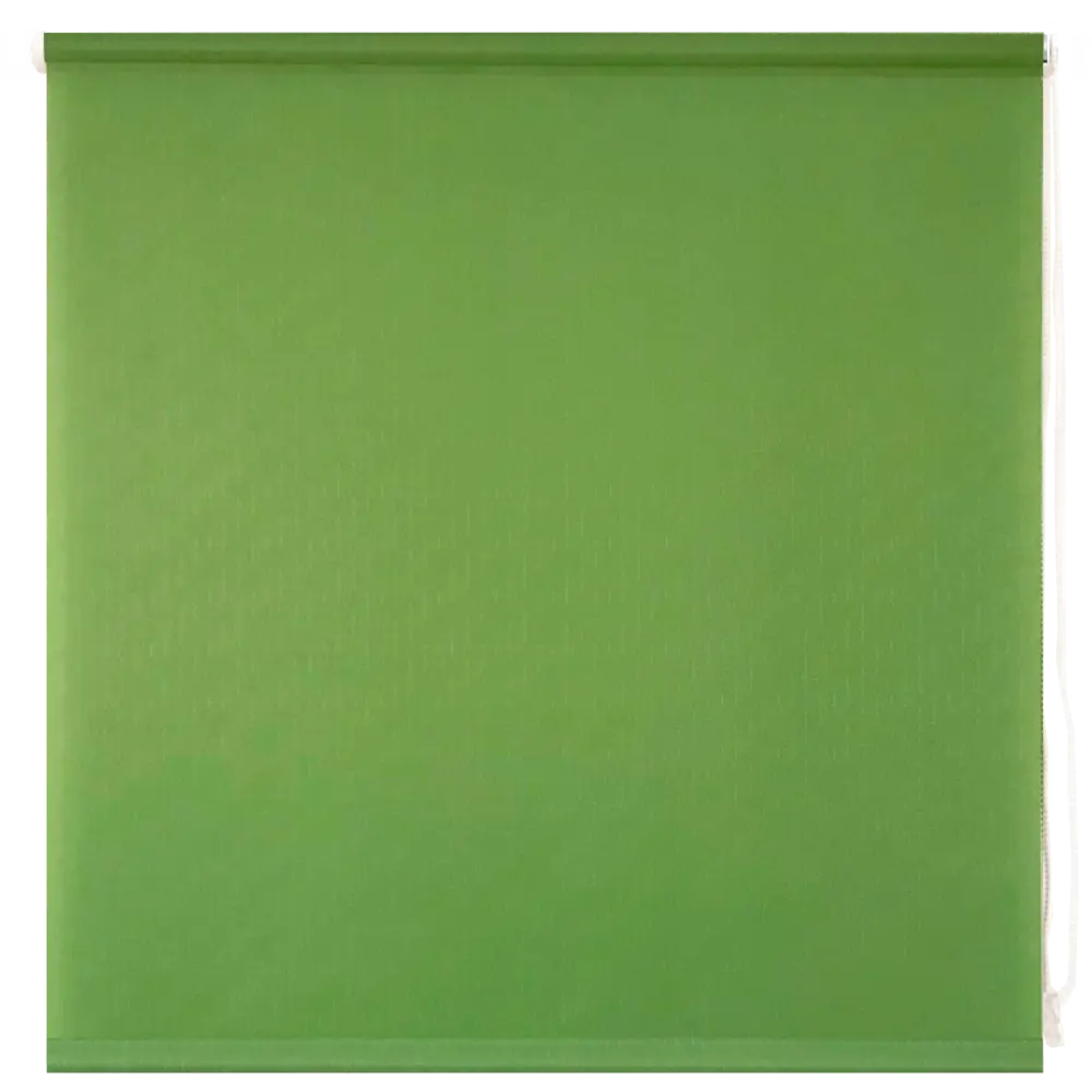Штора рулонная Inspire, 120х175 см, цвет зелёный СТМ STLM-2179054