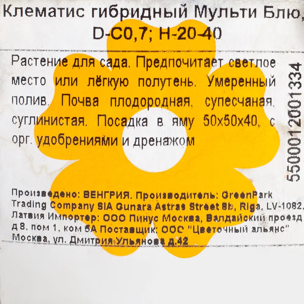 Саженец Клематис Мульти Блю, 0,7 л 13492577 STLM-2200132 Santreyd  - Вид №1
