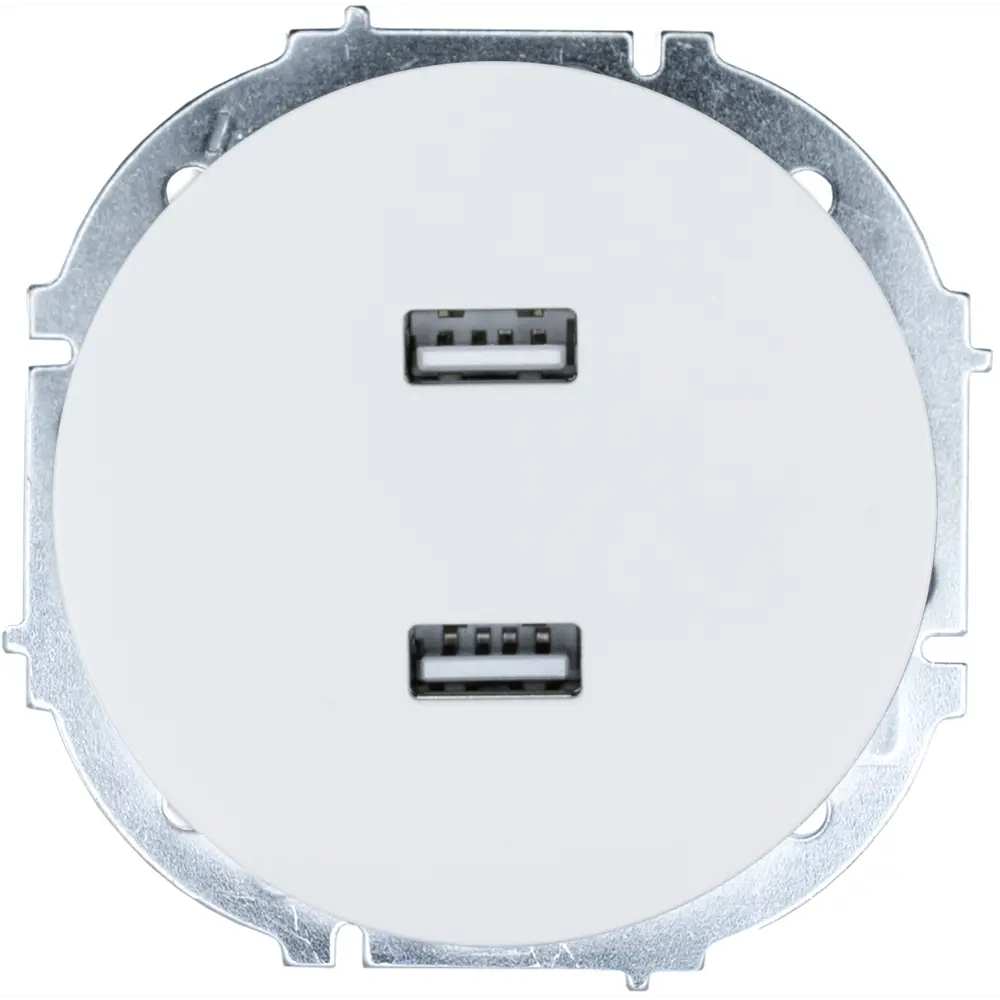 Розетка двойная USB встраиваемая Osen цвет белый LEZARD STLM-2212109