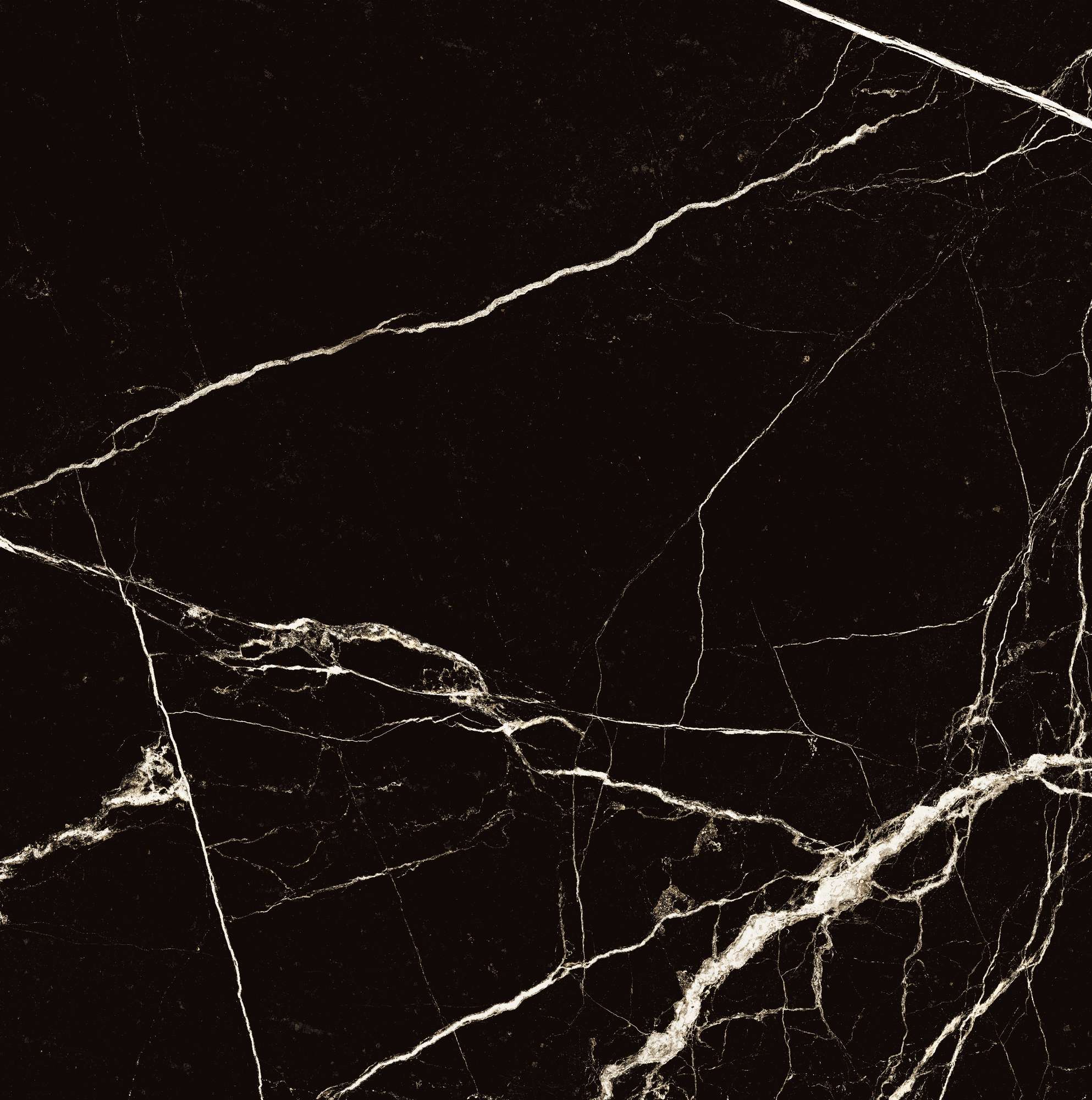 BLACK SPINDER — Элегантность черного мрамора HG2008-A Arcadia Ceramica - Вид №8