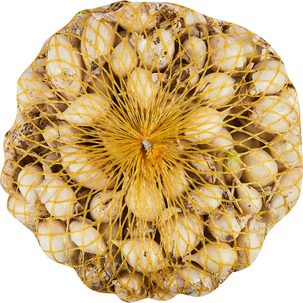 Лук севок Стардаст белый 0.5 кг Santreyd STLM-2203864