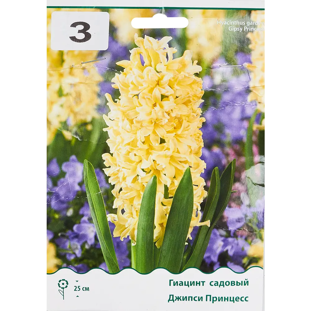 Гиацинт Джипси Принцесс от ПОИСК - солнечные луковицы для сада 85204867 STLM-1563944