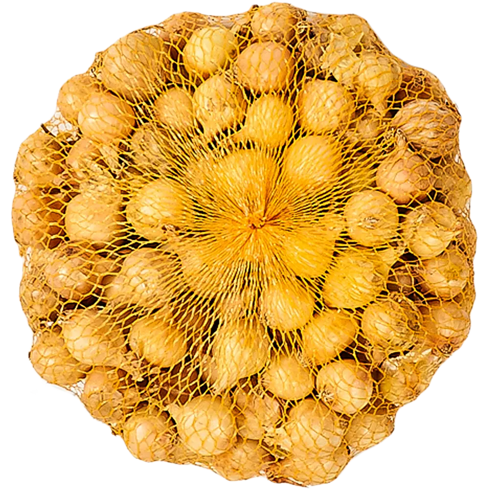 Лук-севок "Штутгартер Ризен" 900 гр ПРЕСТИЖ СЕМЕНА STLM-2013365 - Вид №1