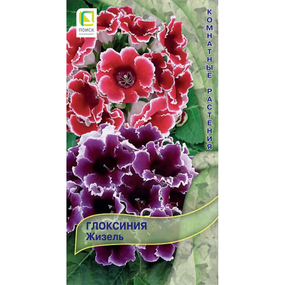 Семена Глоксиния «Жизель» 83227400 STLM-2064960 ПОИСК 