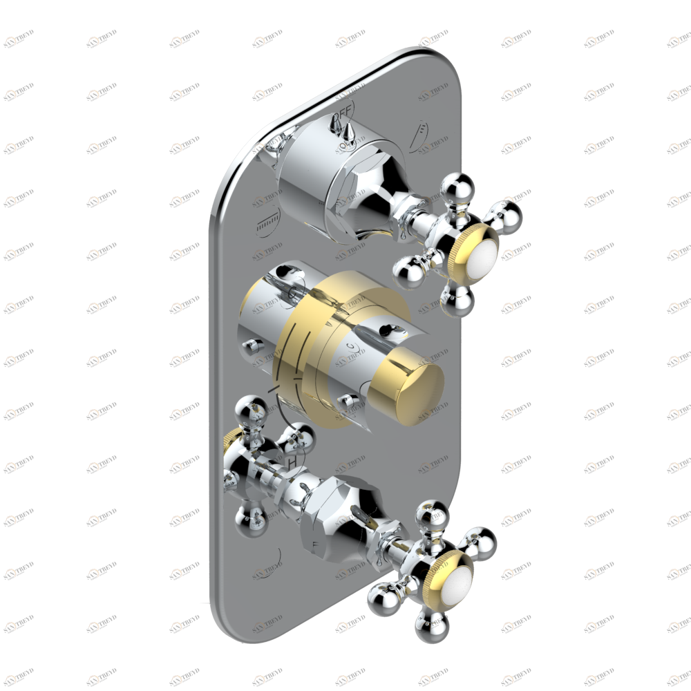 A52-5540BE Внешняя часть с ручками регулировки для арт. G00-A00-5540AE Thg-paris Broadway Хром/золото A52 5540BE CAT.A