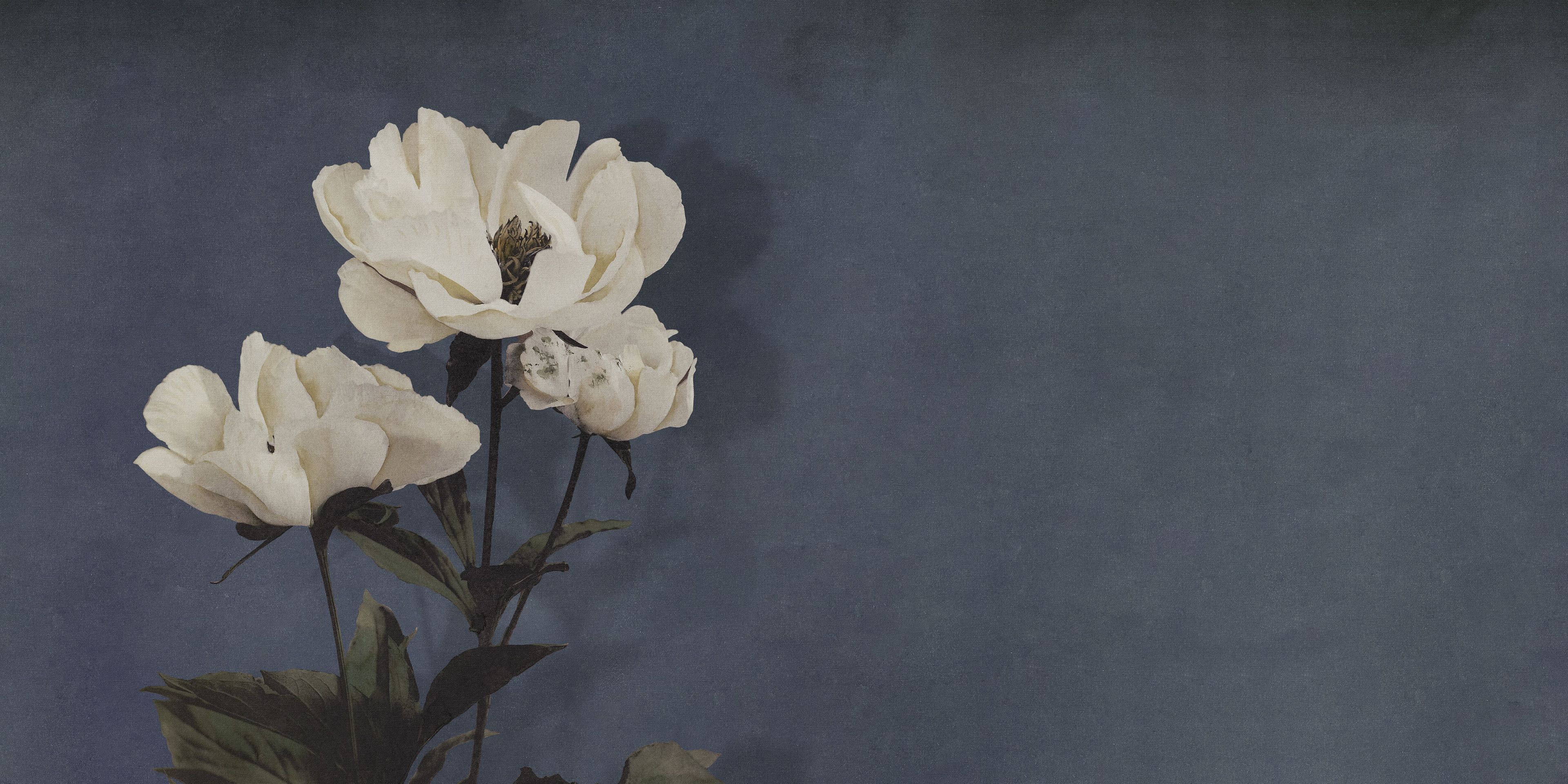 Обои с цифровой печатью Inkiostro Bianco Monochrome ARCH-00138311 - Вид №1