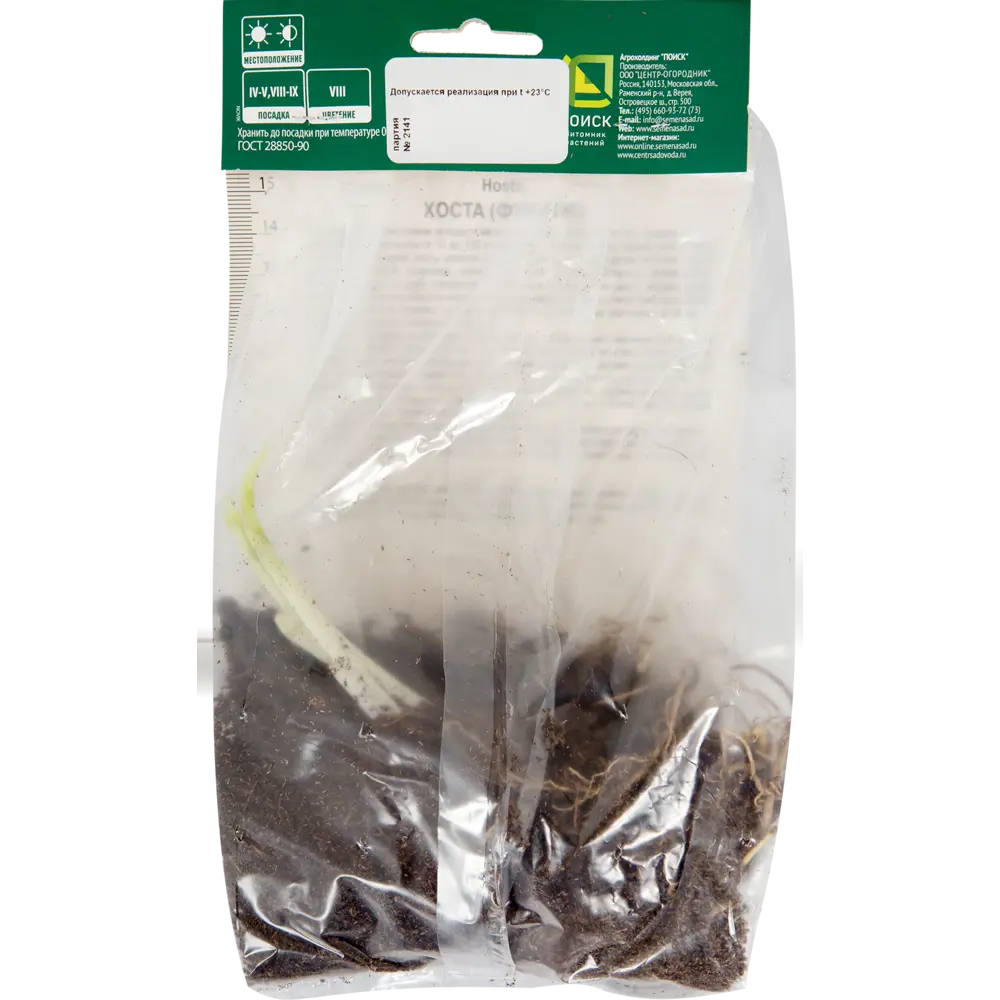 Хоста Форчуна «Франсе», 1 шт Santreyd STLM-2164367 - Вид №1