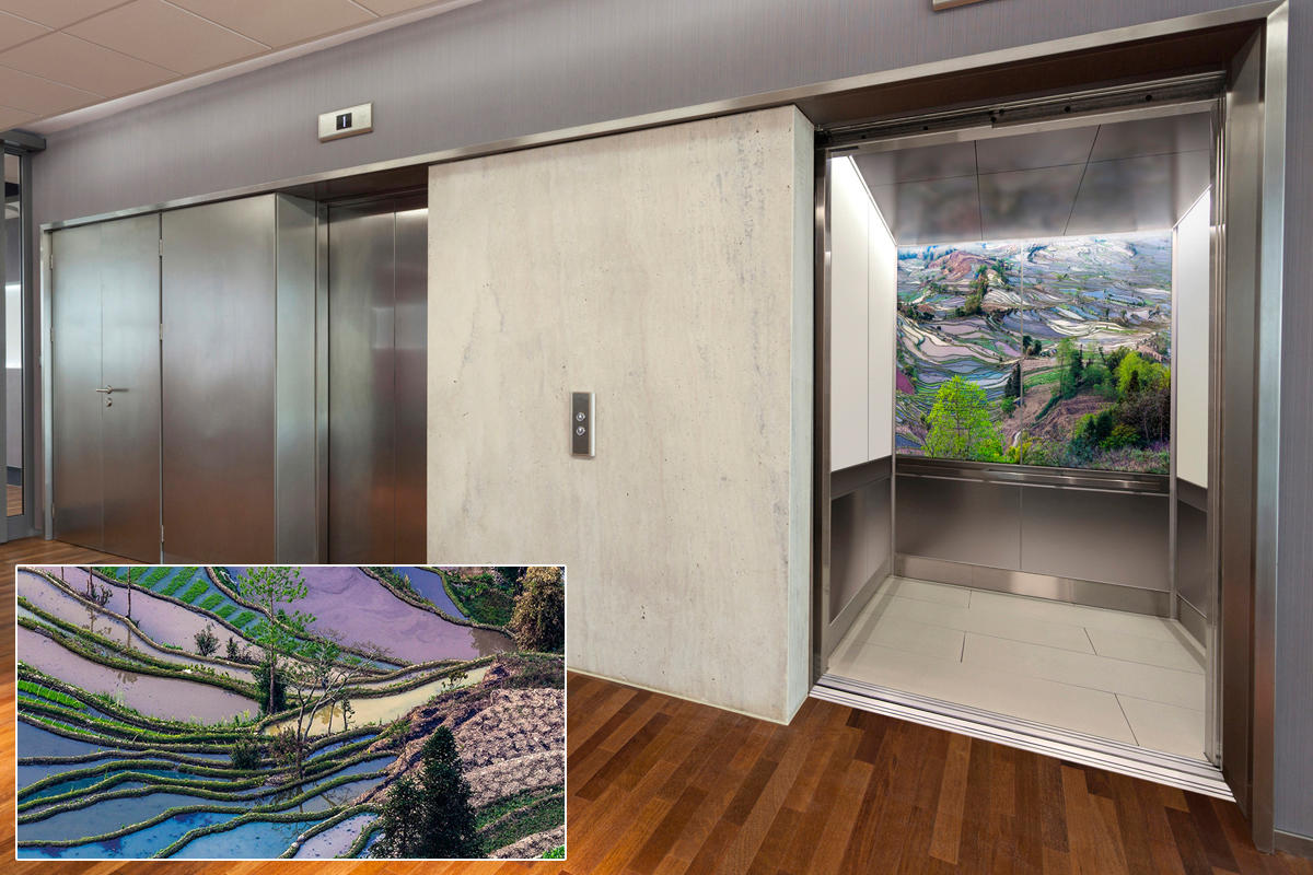 FSRT381 Зум-стекло vivispectra с прослойкой сакраменто горы  Forms-surfaces  - Вид №19