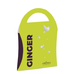 Саше ароматизированное Ginger 10 г