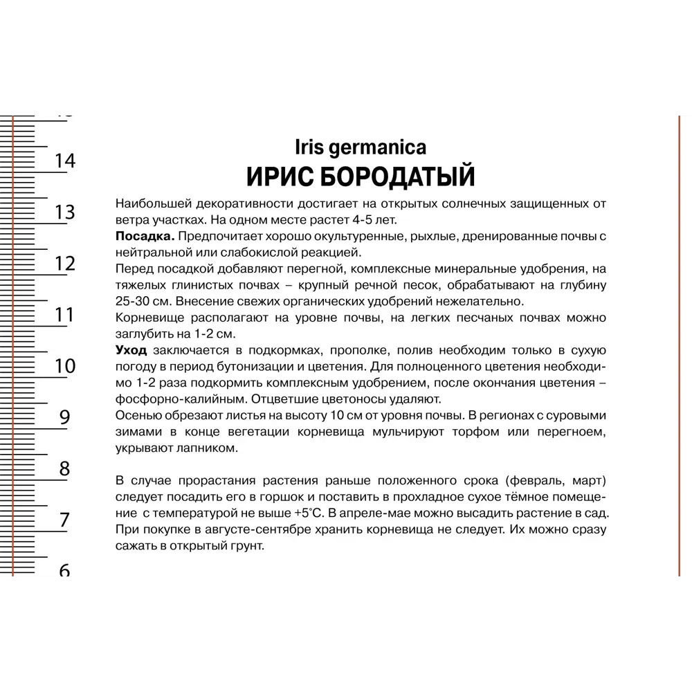 Ирис бородатый Вабаш 89433487 STLM-2038248 ПОИСК  - Вид №1