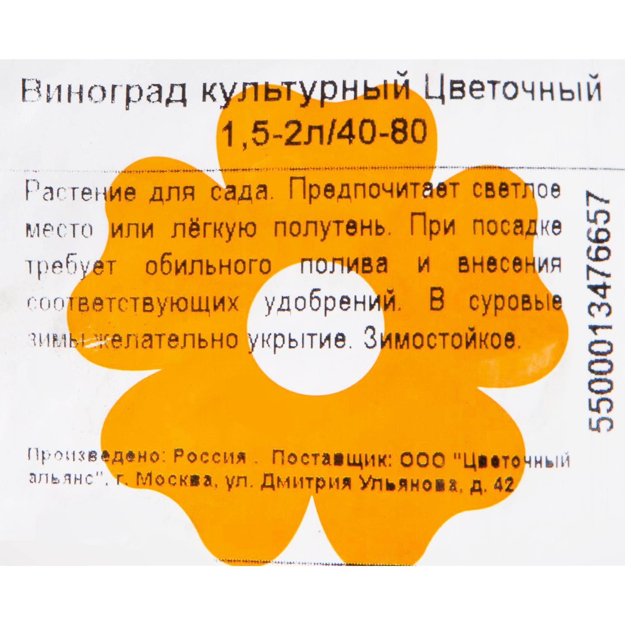 82601695 Виноград культурный «Цветочный» 1.5-2 л высота 40 см Santreyd  - Вид №1