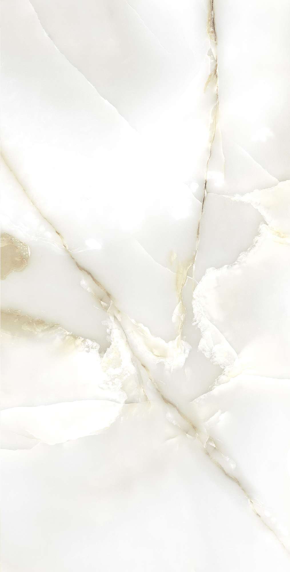 Керамогранит PRIMO ONYX 60х120 Arcadia Ceramica FP1003-A STLM-1426091 89384200 - Вид №6