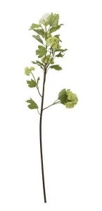 Цветок искусственный ХЛОПОК UNICO  255438 Зеленый;белый;коричневый