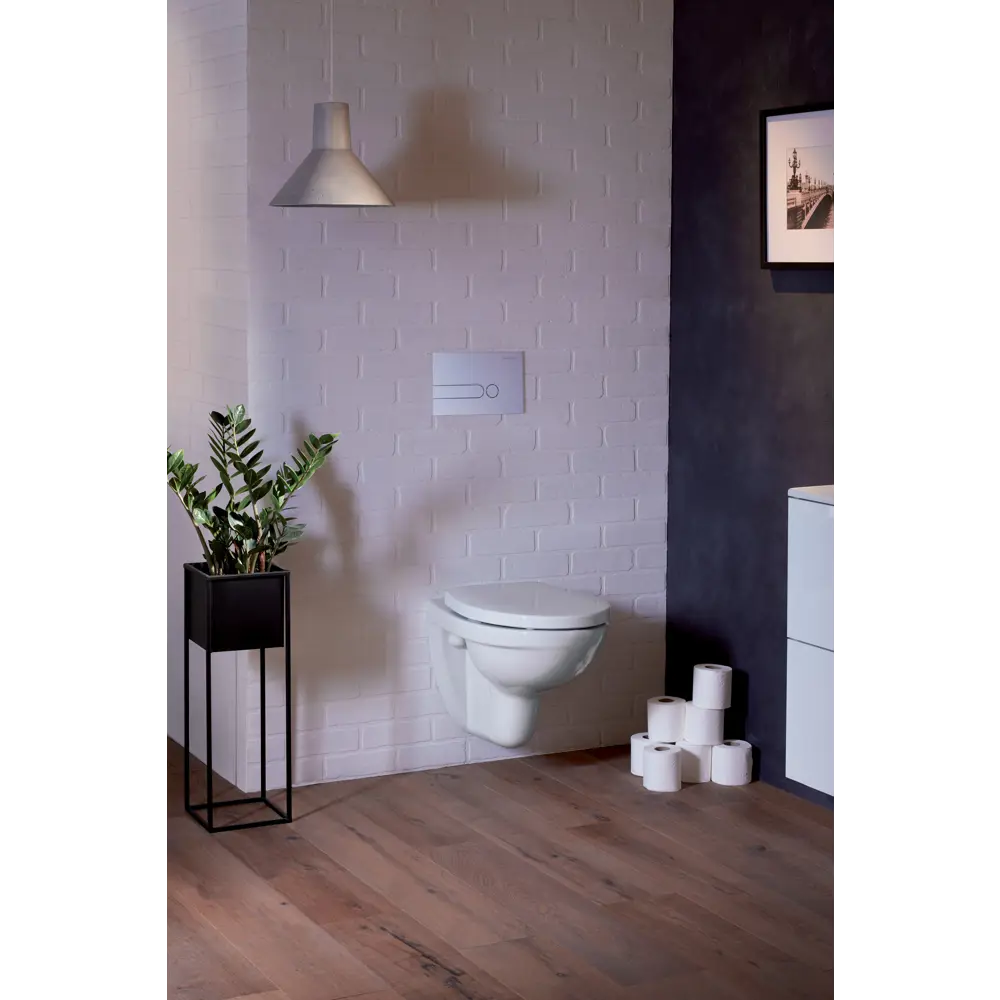 Унитаз подвесной Jacob Delafon Patio STLM-2112531 - Вид №10