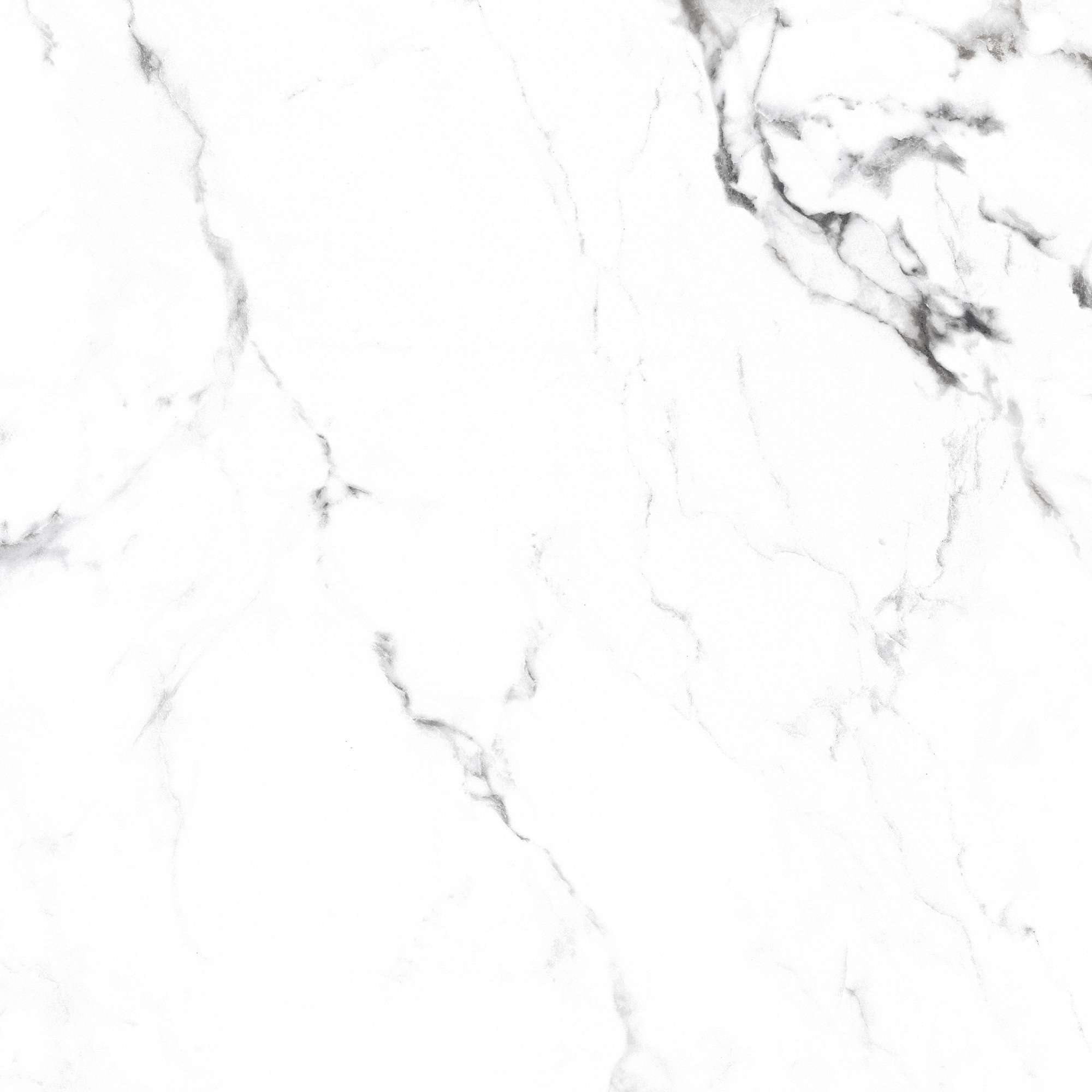 Керамогранит BORGHINI SILVER 60х60 Arcadia Ceramica CR4006-A STLM-2206816 89396428 Carving - Вид №18