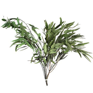 Листья эвкалипта Николи 70 см Santreyd 26392