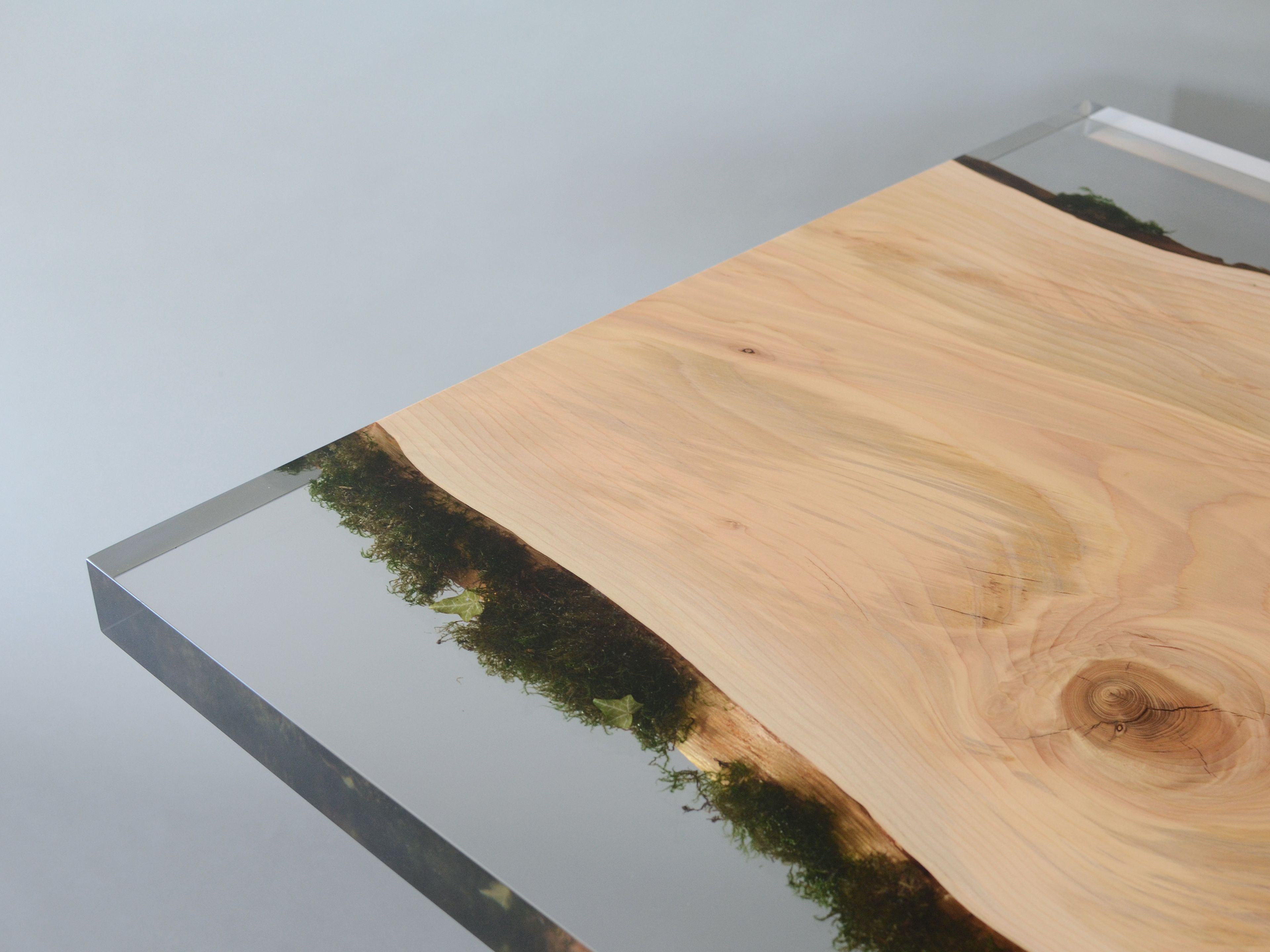 Прямоугольный обеденный стол alcarol Undergrowth ARCH-00150475 - Вид №7