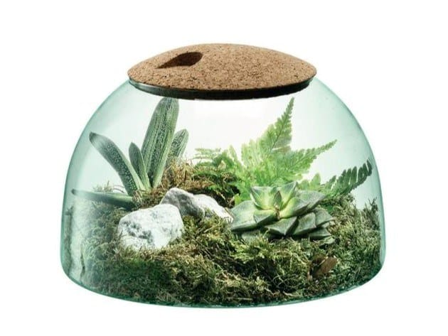 Террариум из дутого и переработанного стекла LSA Canopy ARCH-00081723