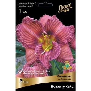 Лилейник гибридный «Новэе ту Хайд» 82530541 STLM-2137271