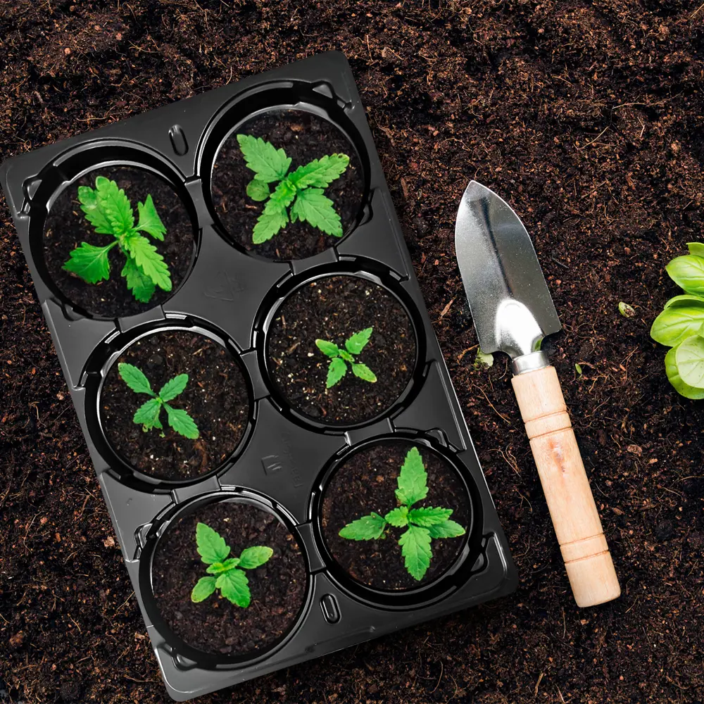 Кассета для рассады ГазонCity пластик 6 ячеек STLM-2205275 - Вид №6