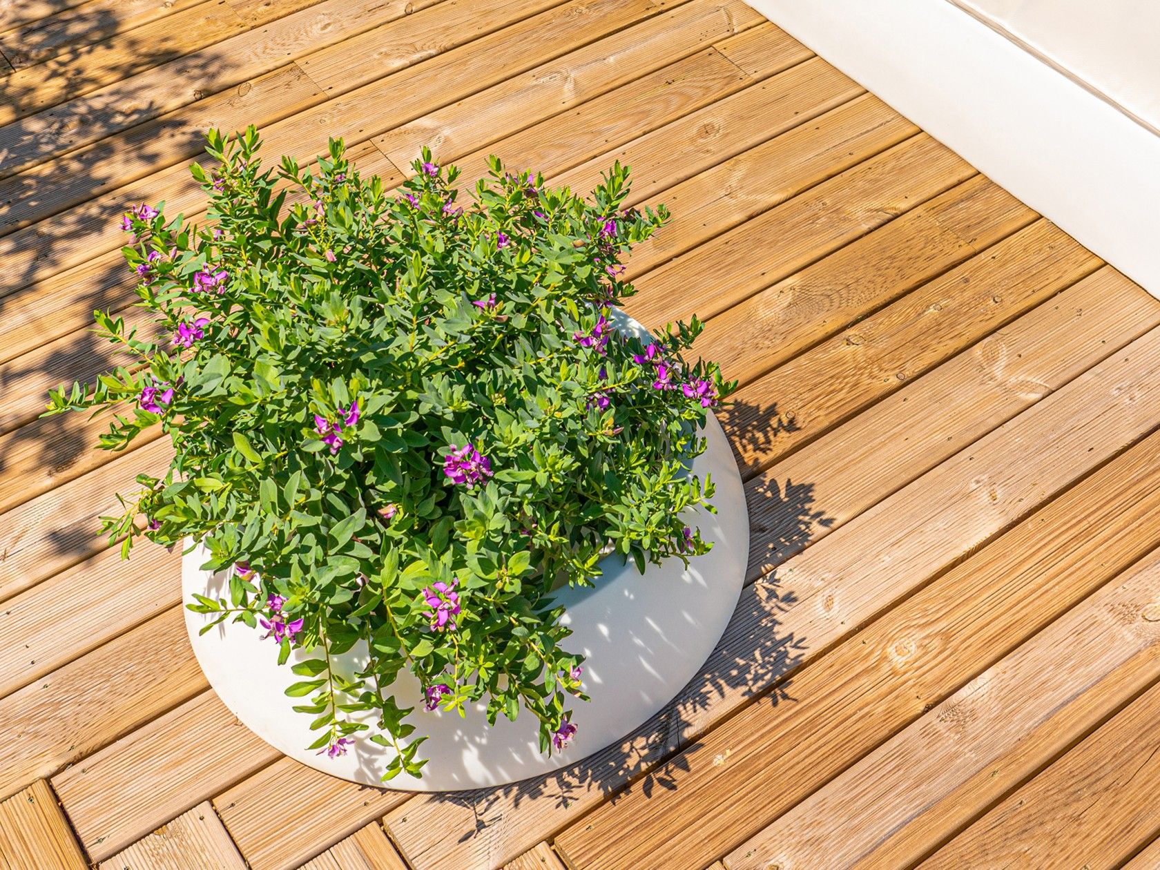 Круглый полиэтиленовый плантатор SIT Sun ARCH-00057626