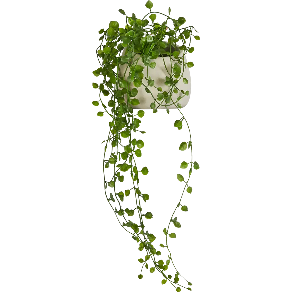 Искусственное растение в цементном горшке Atmosphera 14x12x13 см полиэстер STLM-2164299 - Вид №2