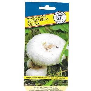 Семена Волнушка белая