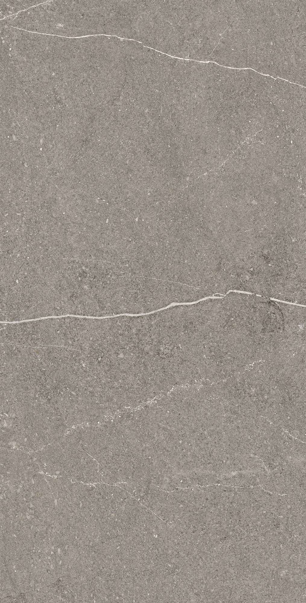 Керамогранит EQUISTONE GRAPHITE 60х120 Arcadia Ceramica RG6002-A - Вид №5
