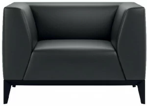 Ersa Кожаное кресло с подлокотниками Bolt