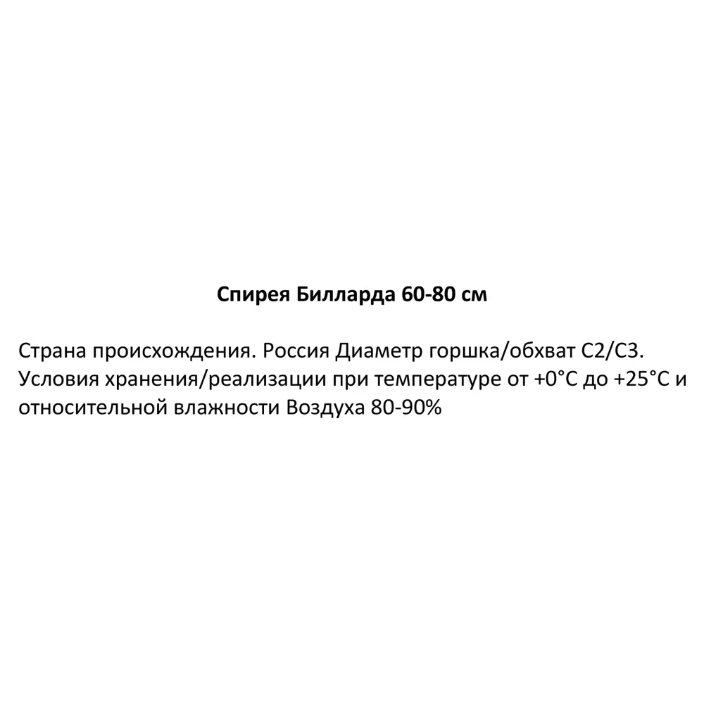 Спирея Билларда ø19 см h60-80 см 85087660 STLM-2064592 Santreyd  - Вид №2