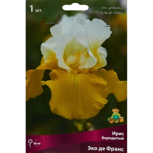 Ирис бородатый Эко Де Франс 85204813 STLM-2006919