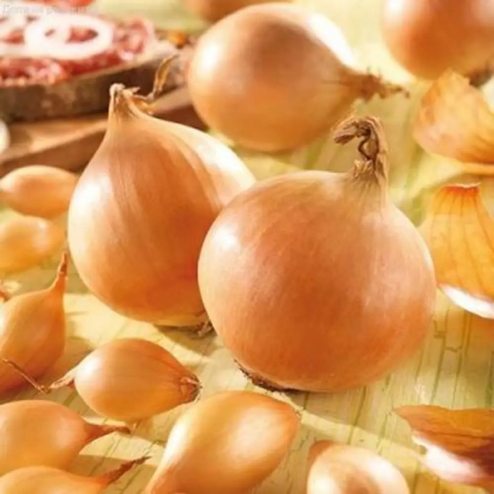 Лук-севок Стурон луковицы 8/21, 320 шт ПРЕСТИЖ СЕМЕНА STLM-2089951