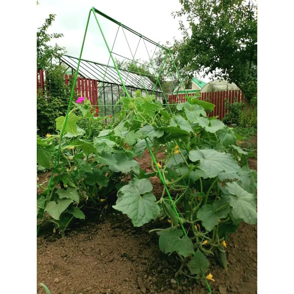 Шпалера для огурцов 78x115 см сталь зеленый Santreyd STLM-2183448 - Вид №6