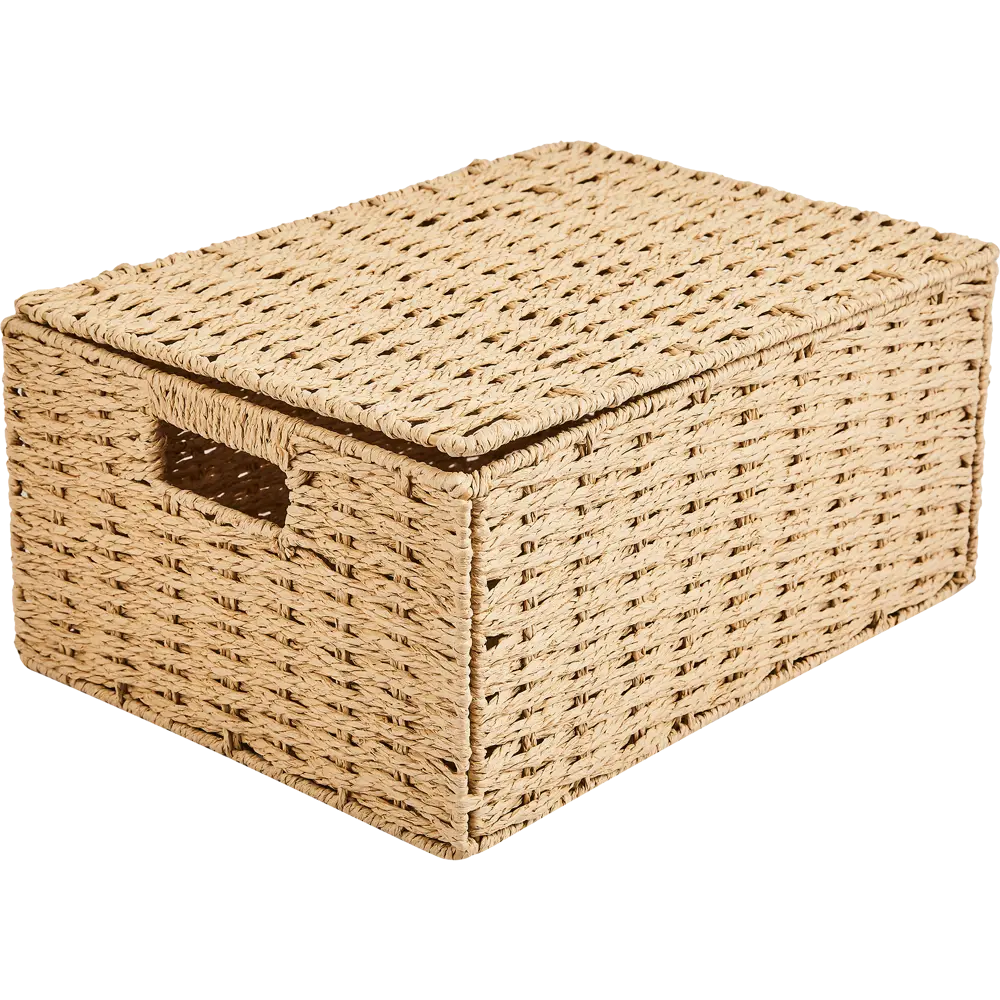 Корзина с крышкой для хранения 38x18x28 см бумага цвет бежевый SPACEO Kub STLM-2088075 - Вид №1