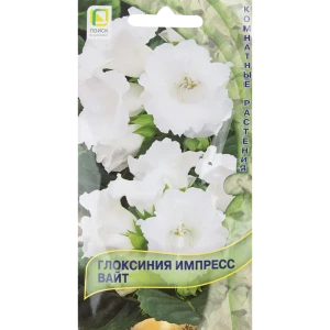 Семена цветов Глоксиния Импресс Вайт белая Поиск 82424751 STLM-2101262